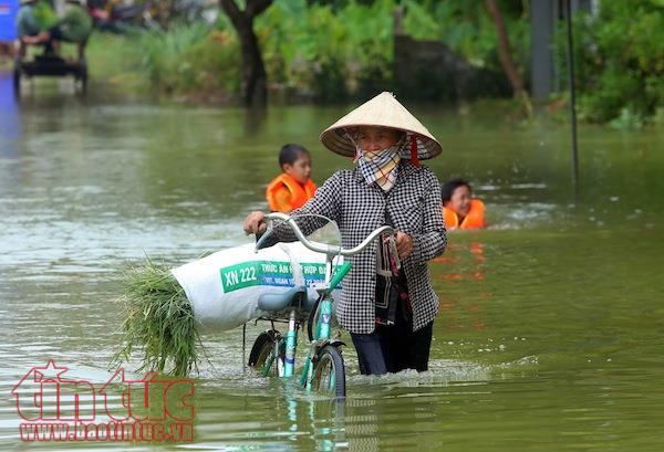 Nhiều xã của huyện Chương Mỹ (Hà Nội) vẫn bị chia cắt do nước ngập sâu ảnh 3